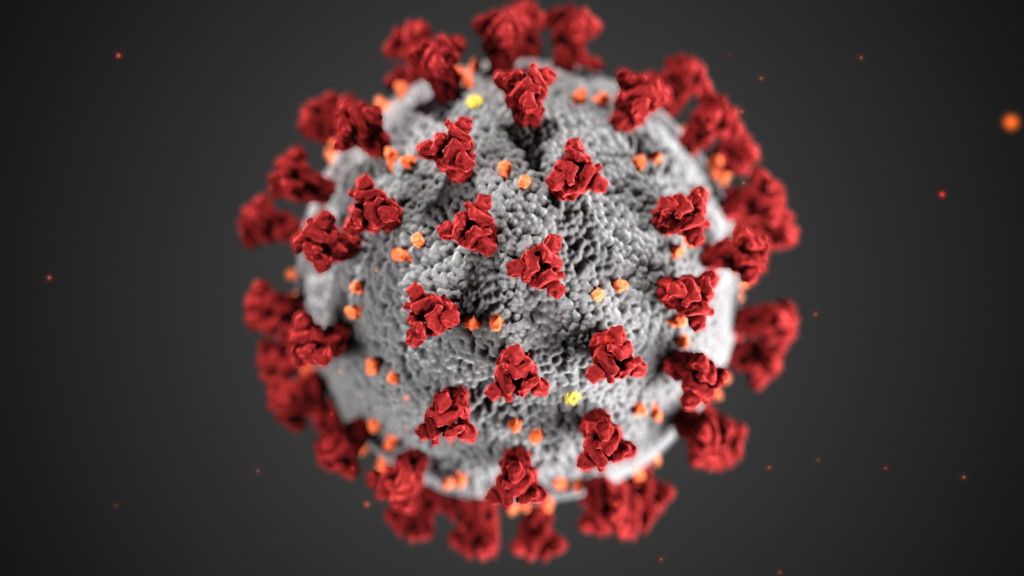 corona virus pandemic
